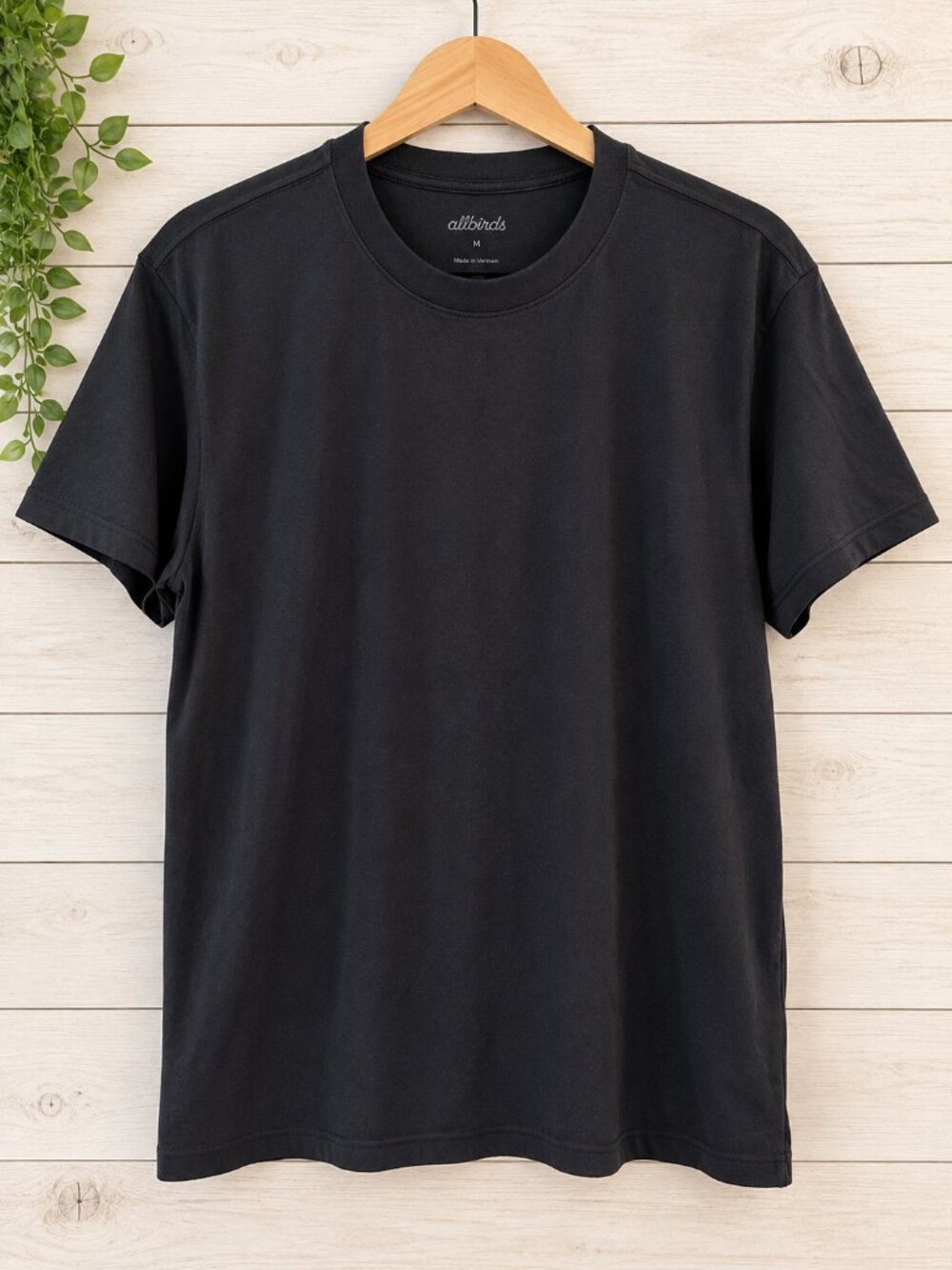 Allbirds Men’s Cotton Tee Natural Black Medium NWT $38